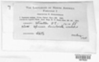 Image Associated With the Occurence